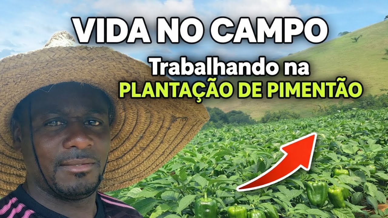 Mostrando o restante parte 2