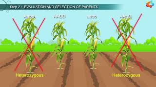 An Introduction To Plant Breeding