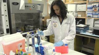 Meharry Medical College: The Next Generation of Healthcare