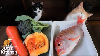 Homemade Cat Food (Fish Jelly Terrine) by JunsKitchen 1,292,631 views 1 year ago 4 minutes, 32 seconds