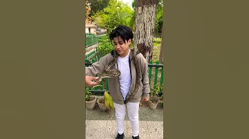 حنيت وحنيني #حنيني_و_حنيني