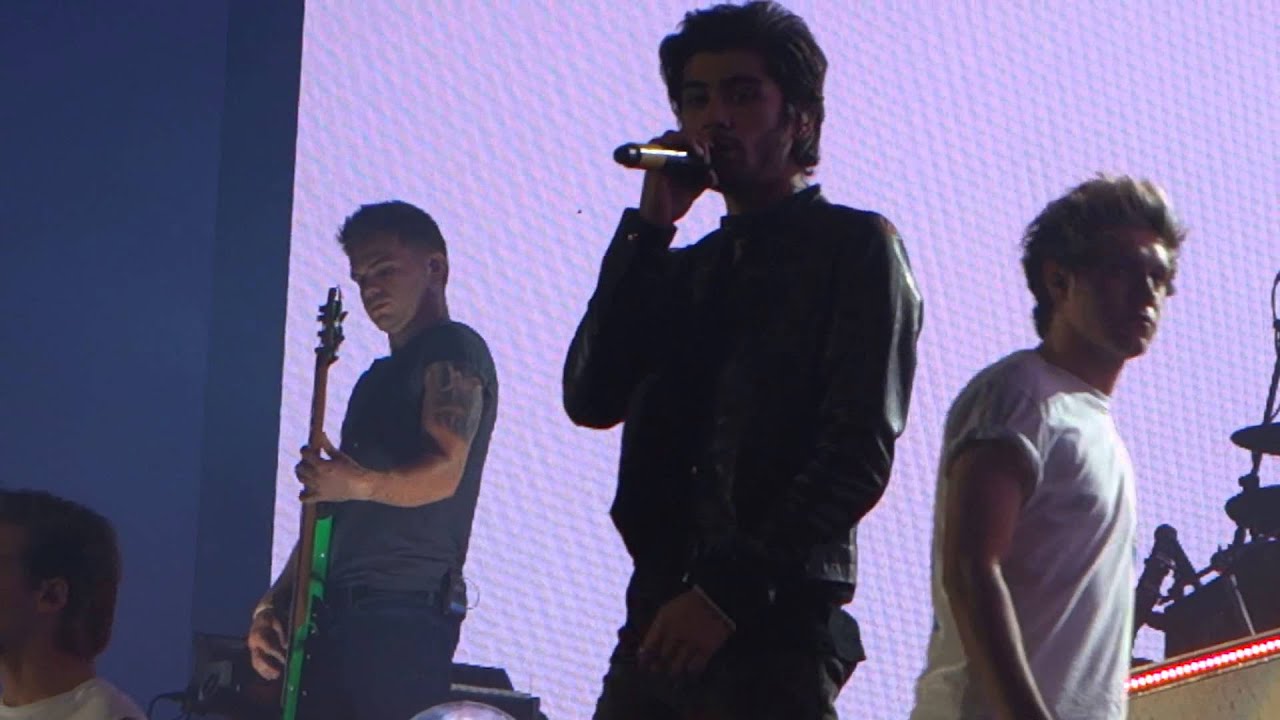 One Direction. What Makes You Beautiful. Edward Jones Dome. St. Louis. 8.27.14