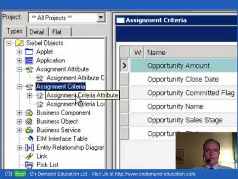 assignment manager component in siebel