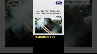 #shorts 「もしも、地球上からミツバチが消えたなら、人類は4年で滅亡するだろう」アインシュタインが警告した未来が目の前に!?“ミツバチ絶滅”で人類に迫る食料危機