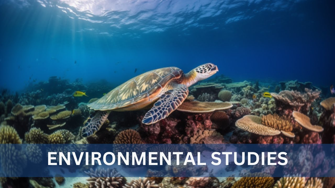 Your Comprehensive Guide to Environmental Studies: An Animated Video Tutorial