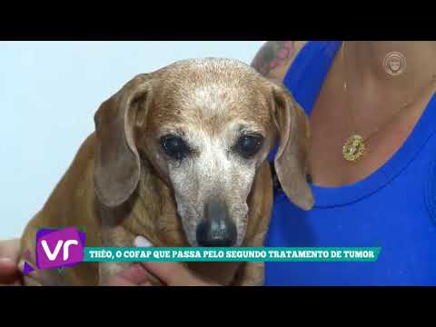 Vídeo: Câncer De Garganta (condrossarcoma) Em Cães