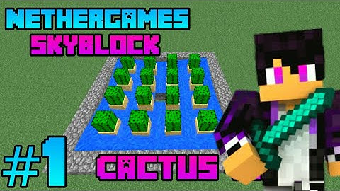 I Make Best Cactus Farm in Minecraft Nethergames Skyblock 1