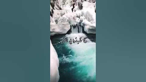 (ادعوا ربكم تضرعاً وخفية) من سورة الأعراف  للشيخ سعد الغامدي