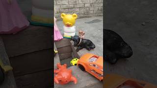 Minutes Satisfying with Unboxing Hello Kitty Kitchen Set | How to Make Mini Kitchen Set  ASMRl