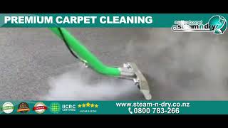 Satisfying Hot Carpet Steam Cleaning Auckland screenshot 3