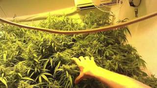 OFG vLog: Newts, Shout Out to Gary Host