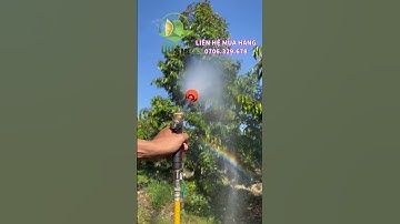 Cần xịt kasuco 50 #shorts