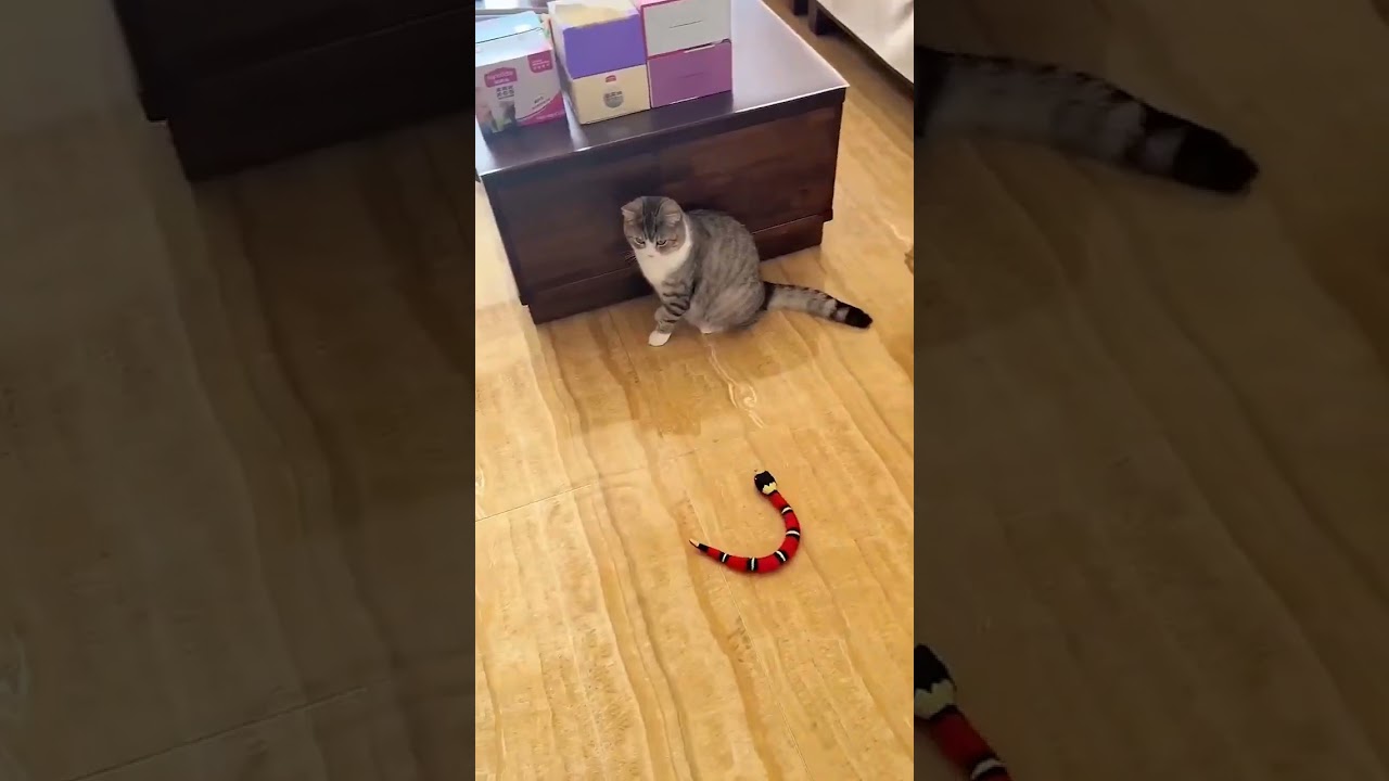 Smart Sensing Snake Cat Toys 🐍 🙀 
