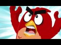 Disco Dreaming - LEGO The Angry Birds Movie - Mini Movie