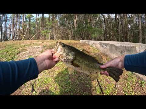 Early SPRING LARGEMOUTH BASS Fishing