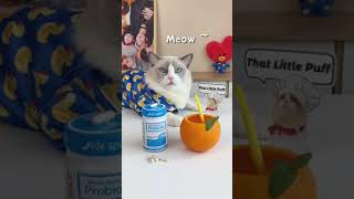 Life Space Probiotics | Get 20% Off & Free Shipping with PUFF20