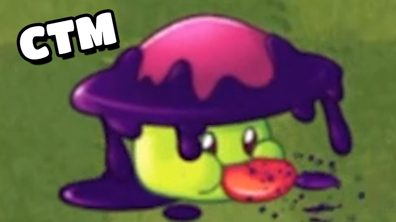 CHIBOLITO TOXICO 🤬