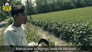 Video pendek# story wa # jawa keren😎