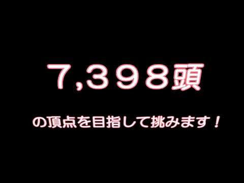 レッドジェネシス　日本ダービー　最終追い切り