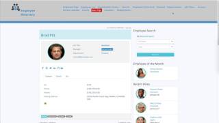 Employee Milestone Widgets to power up your sidebars - Employee Directory Pro WordPress Plugin