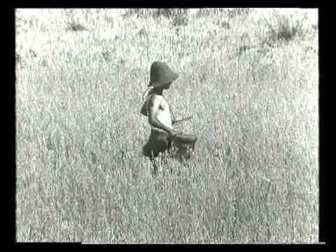 O trigo eo joio, de Manuel Guimares, 1965