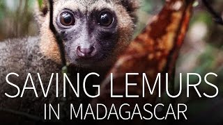86,402 Seconds in Madagascar