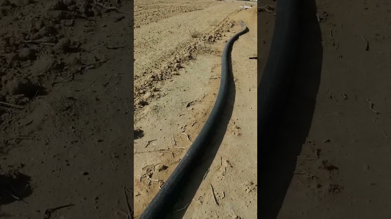 مراحل التوسعة لمشروع الحمام اللاحم