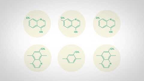 Vector Control Expertise