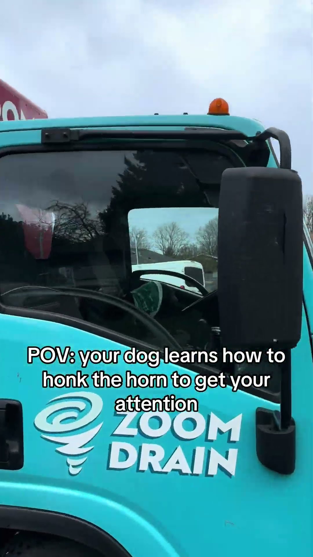 Dog Learns to Honk Horn || ViralHog
