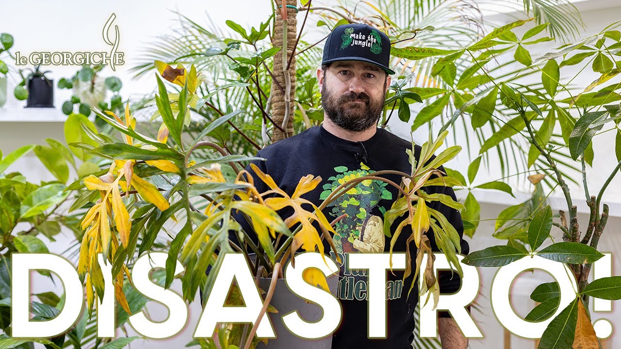 Incidente con le piante! Hanno preso freddo 😱