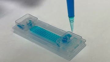 CellGem: Step1. Pre-Rinse & Degas