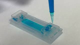 CellGem: Step1. Pre-Rinse & Degas