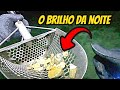 OURO e PLATINA na caçada noturna na PRAIA / 金属探知機 /Metal Detector