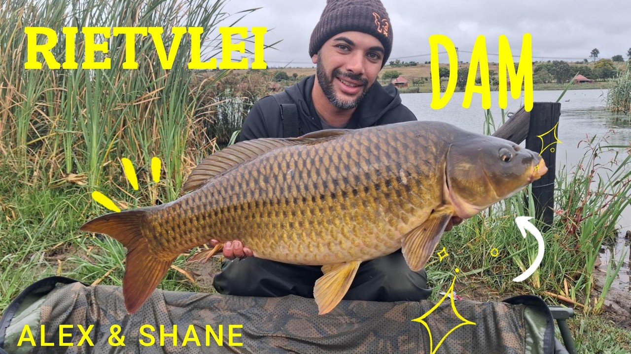 RIETVLEI DAM CARP FISHING WITH ALEX AND SHANE ! 24HR SESSION!