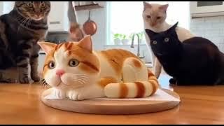 98396670 ca2c 11f0 9550 2a1c5bae5839 0