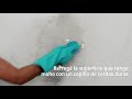 Cómo sacar moho de la pared | Cleanipedia