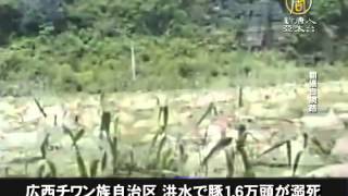 【中国１分間】強制土地収用に抵抗の村人 重機で轢死 20150623