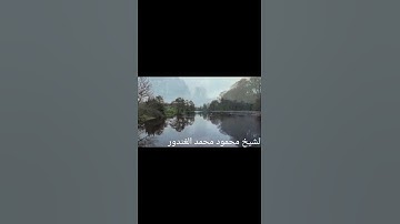 سورة التوبة بصوت الشيخ محمود الغندور