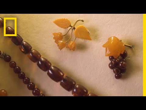Video: Amber Museum (Gintaro muziejus) kev piav qhia thiab duab - Lithuania: Palanga