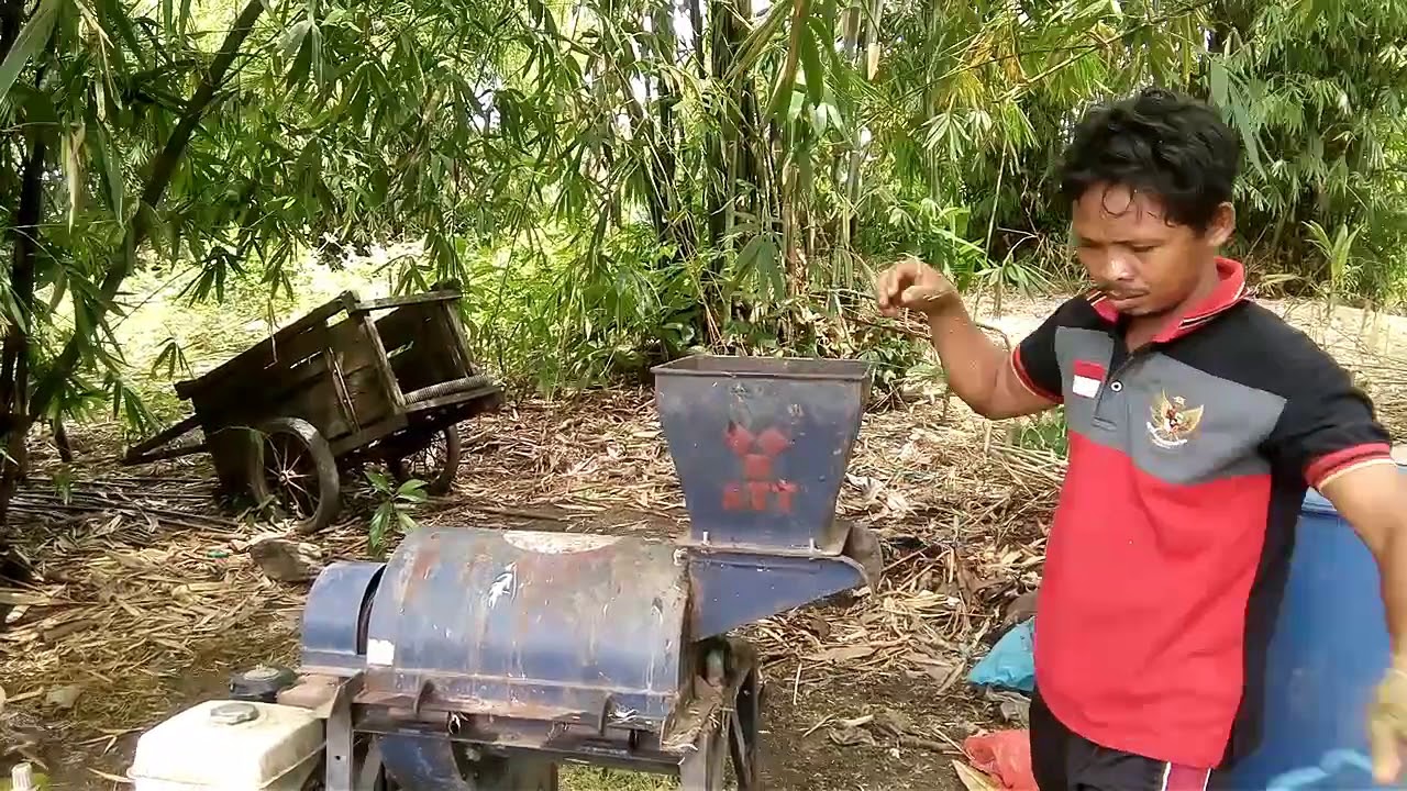 LIHAT, SAMPAH ORGANIK DARI PASAR JADI PAKAN IKAN