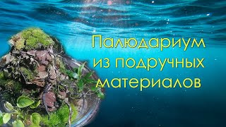 видео: Палюдариум из подручных материалов картинка: Палюдариум из подручных материалов