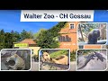 Walter zoo gossau schweiz alle tiere und ftterungen 2022