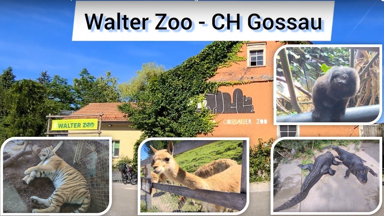 Walter Zoo Gossau, Schweiz. Alle Tiere und Fütterungen 2022.