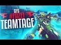 Faze1 gfs teamtage  team scarce