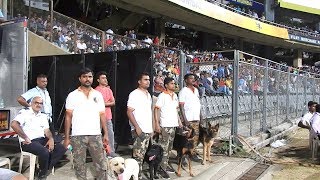 T-20 Match Protection By Action Dogs by Animal Guru 167,822 views 4 years ago 9 minutes, 41 seconds