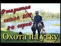 Охота на утку. Открытие осеннего сезона по водоплавающей дичи 2-я серия. Охота на утку с подхода.