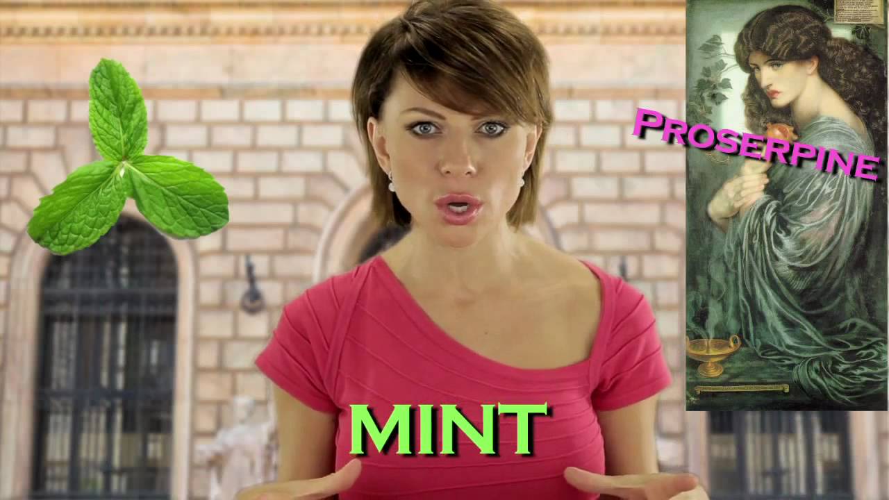 Where does mint come from?