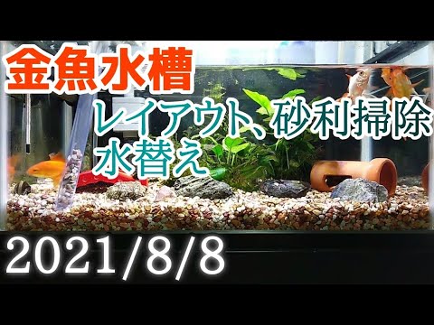 金魚水槽 レイアウト 砂利掃除 水替え 21 8 8 Youtube