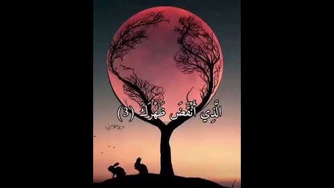 تلاوة سورة الشرح بصوت جميل وهادئ