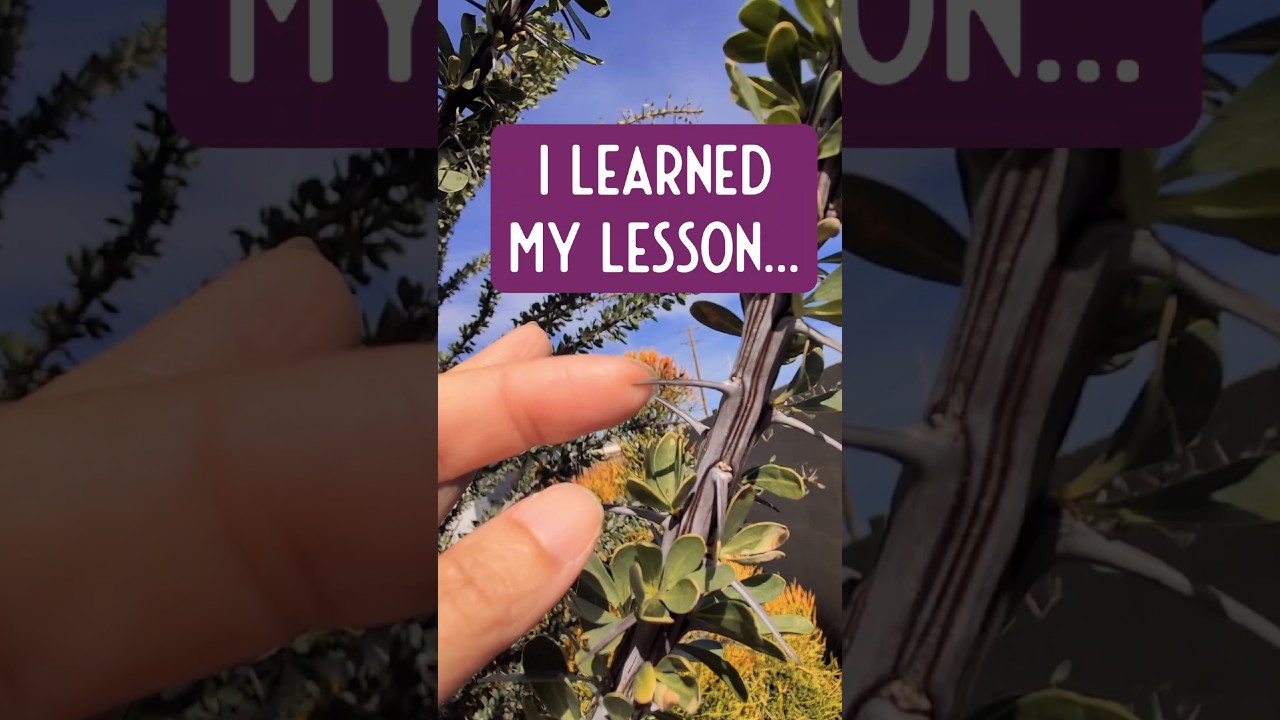 Бесконечное путешествие травника